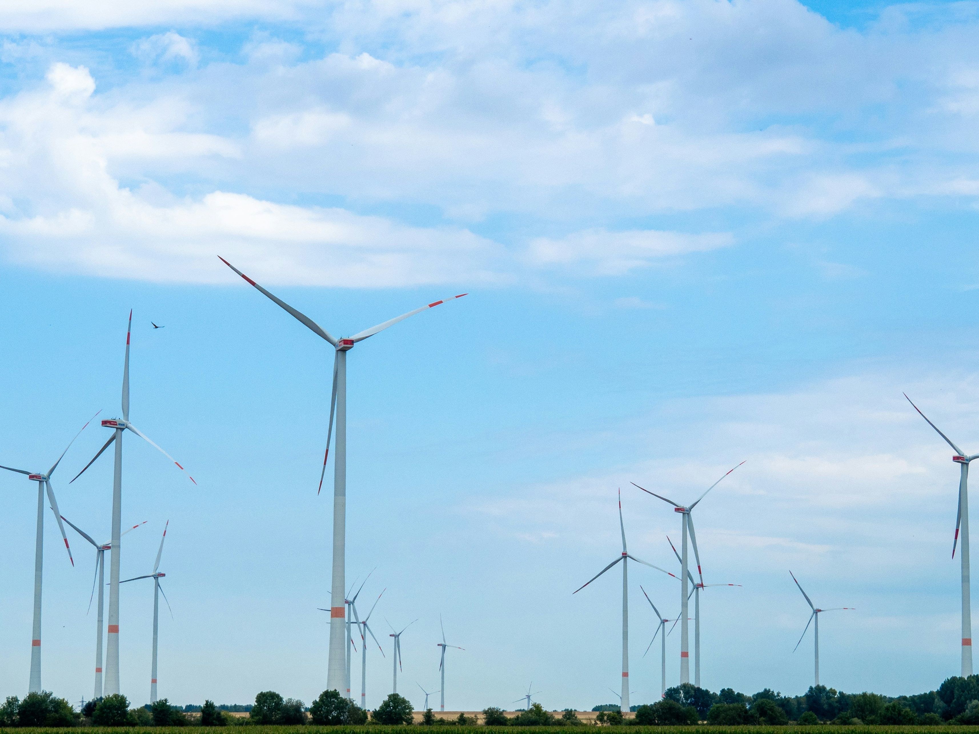 Dinas Lingkungan Hidup Provinsi Gorontalo